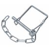 Replacement Pin & Chain for Pintle Hook; DIAM: 0.25"
