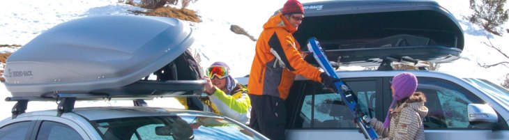 Can Rhino Rack Cargo Boxes carry skis?